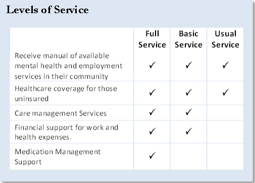 Level of service table.  Receive manual of available mental health and employment services in their community has full, basic, and usual services available.  Healthcare coverage for this uninsured has the same services available.  Care management services only contains full and basic service, as well as financial support for work and health expenses.  Finally, Medication menagement support only has full service available.
