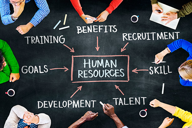 Human Resource Managers